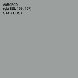 #9B9F9D - Star Dust Color Image